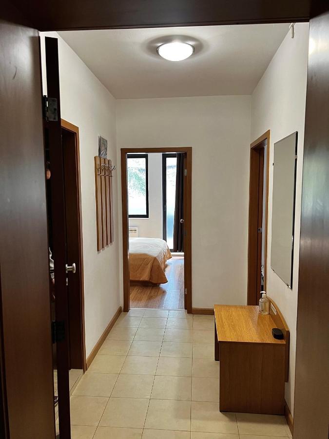 Christina Apartment In Laplandia Pamporovo Kültér fotó